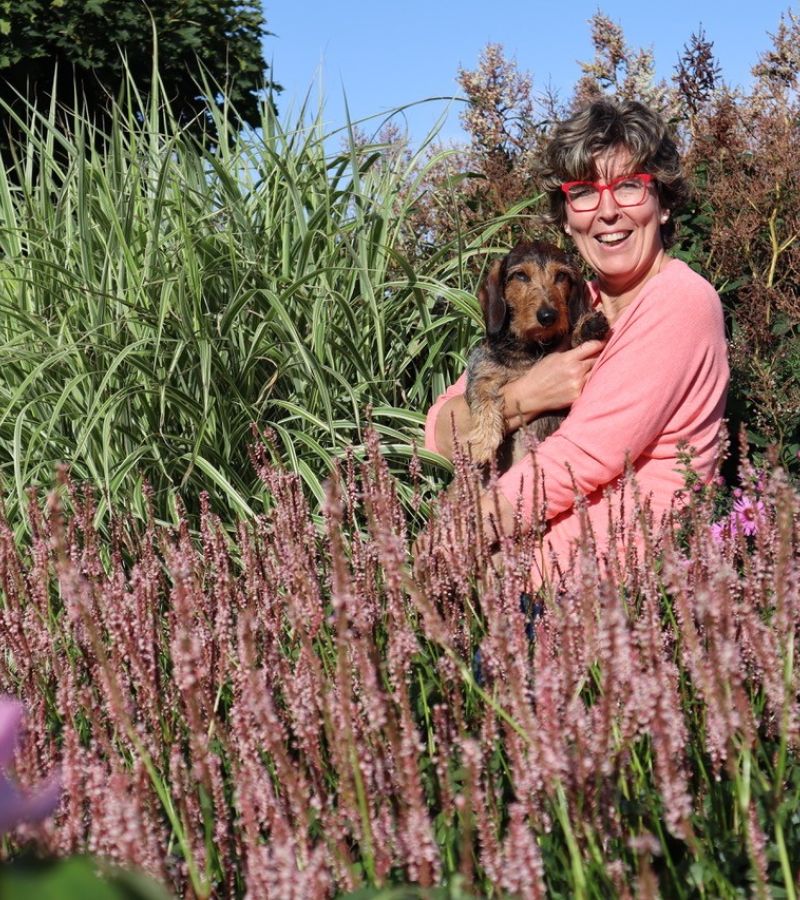 Katrin Iskam - Gärtnern ohne viel Geschiss