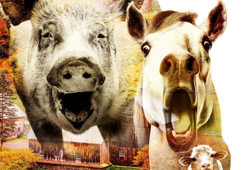 Farm der Tiere