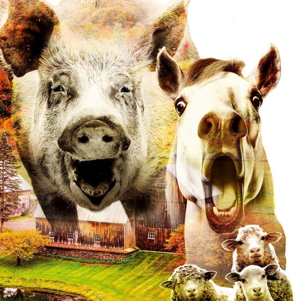 Farm der Tiere