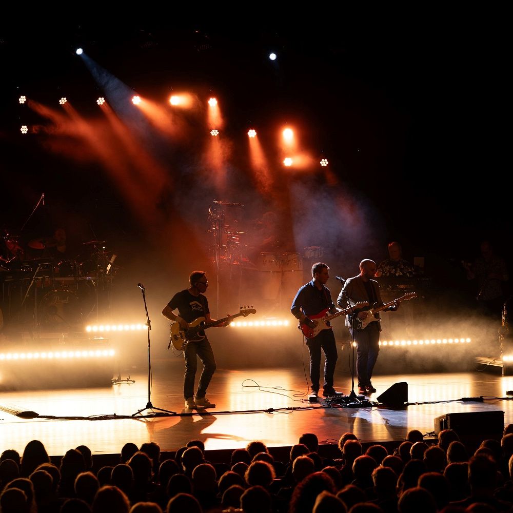 One Night of Dire Straits